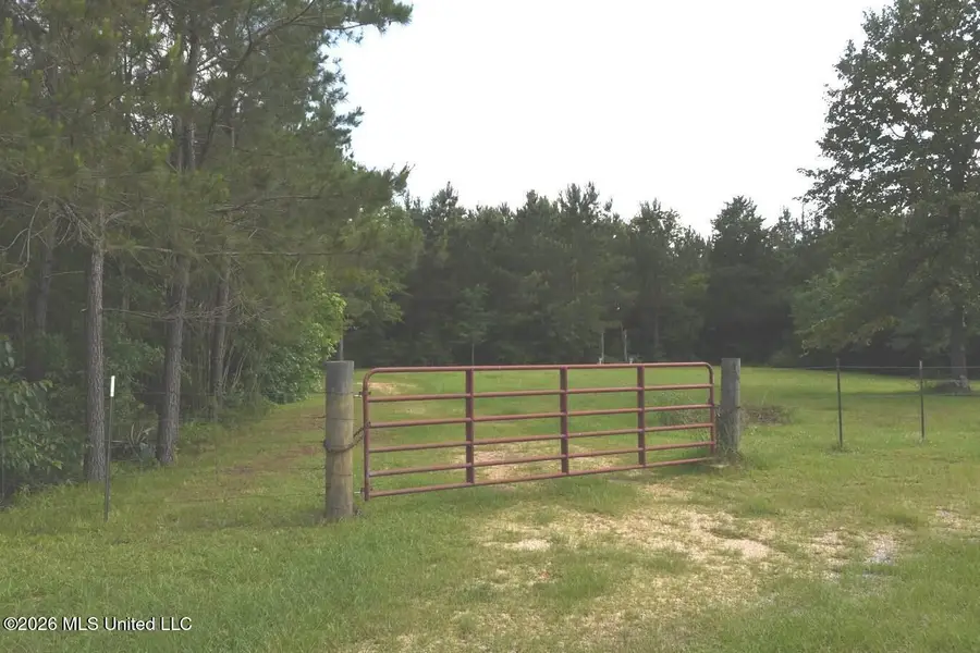 00 Miller Road, Columbia, MS 39429 - #3