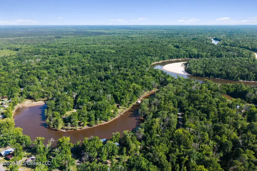 24748 Davis Dead River Circle, Lucedale, MS 39452 - #2