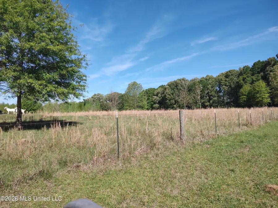 25630 Mississippi 18, Utica, MS 39175 - #2