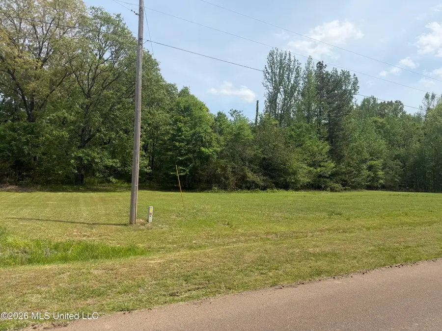 Shamrock Loop, Byhalia, MS 38611 - #3