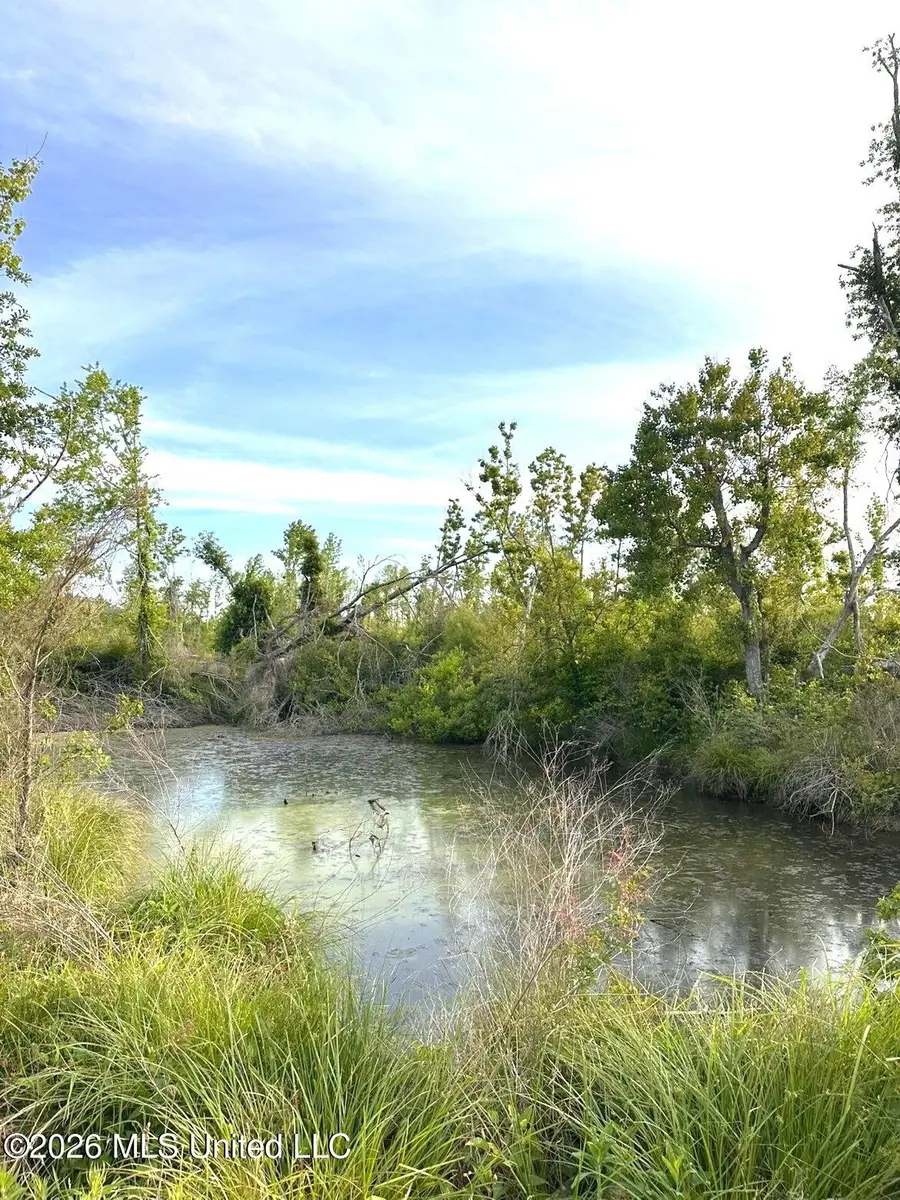 72 Summers Magee Road, Kokomo, MS 39643 - #3