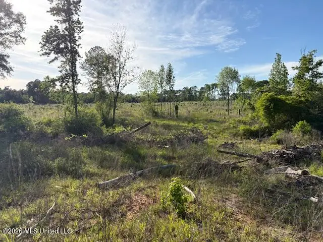 737 State Hwy 902, Pulaski, MS 39152 - #1