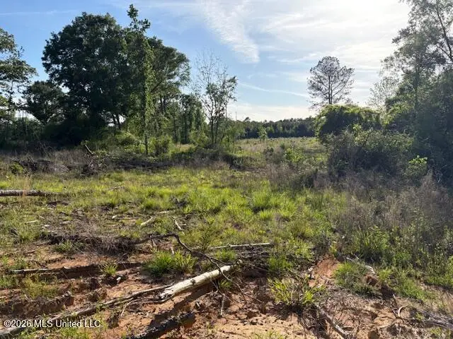 737 State Hwy 902, Pulaski, MS 39152 - #3