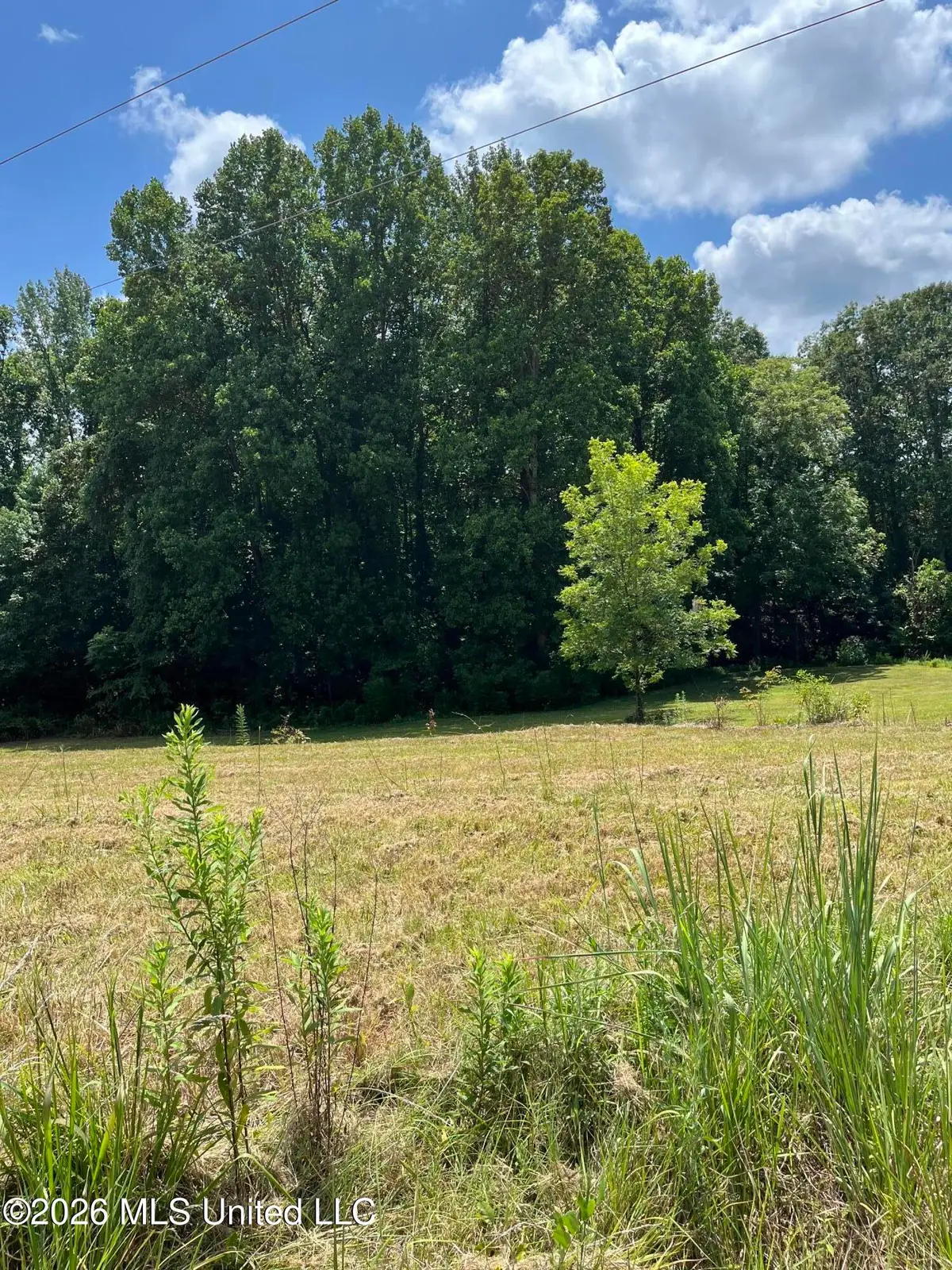 127 Parker Cove, Byhalia, MS 38611 - #1