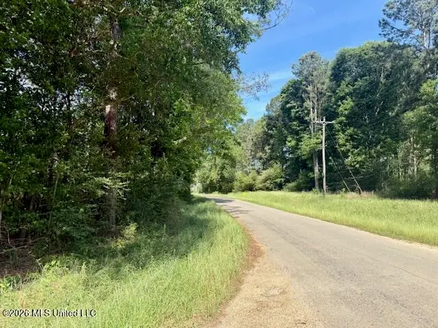J W Miller Road, Jayess, MS 39641 - #1