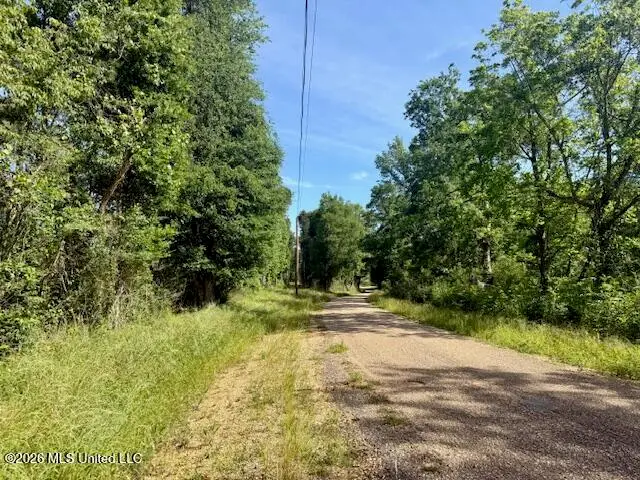 J W Miller Road, Jayess, MS 39641 - #2