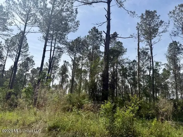 J W Miller Road, Jayess, MS 39641 - #3