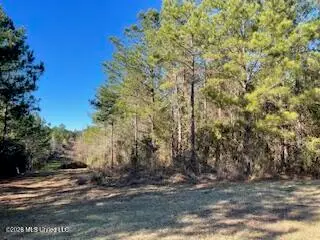 NE Linwood Lane, Brookhaven, MS 39601 - #1