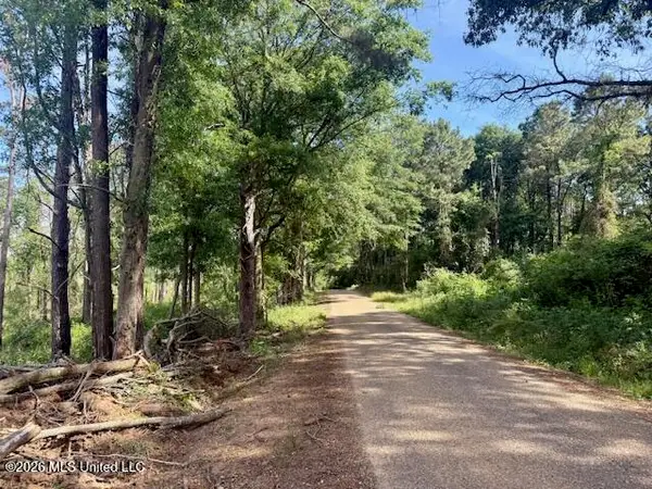 J W Miller Road, Jayess, MS 39641