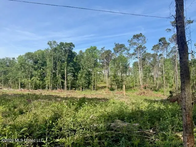 J W Miller Road, Jayess, MS 39641 - #2