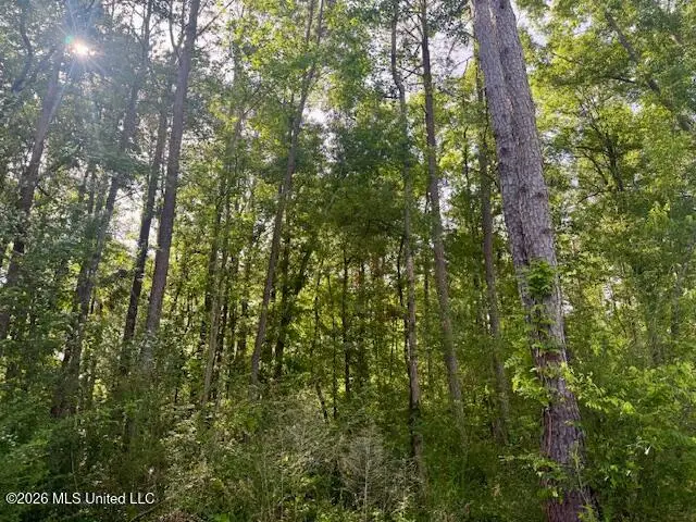 Rutland Road, Jayess, MS 39641 - #3