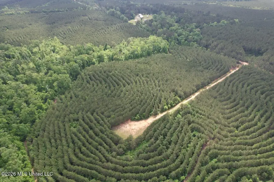 2354 Willie Redden Road, Greensburg, LA 70441 - #2