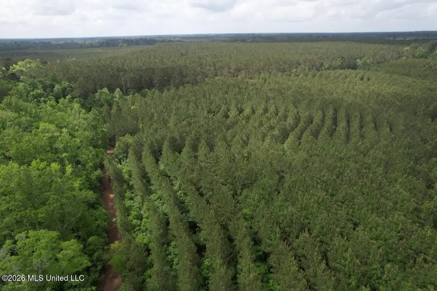 2354 Willie Redden Road, Greensburg, LA 70441 - #3