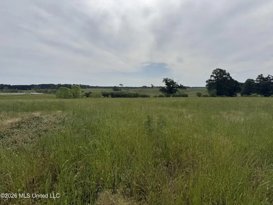 813 Holmesville Road, Jayess, MS 39641 - #2