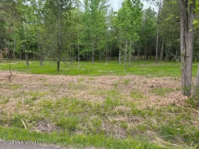 Lansbury Way, Madison, MS 39110 - #2