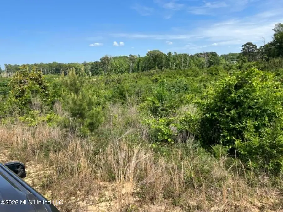 000 Layton Jones Road, Mendenhall, MS 39114 - #3