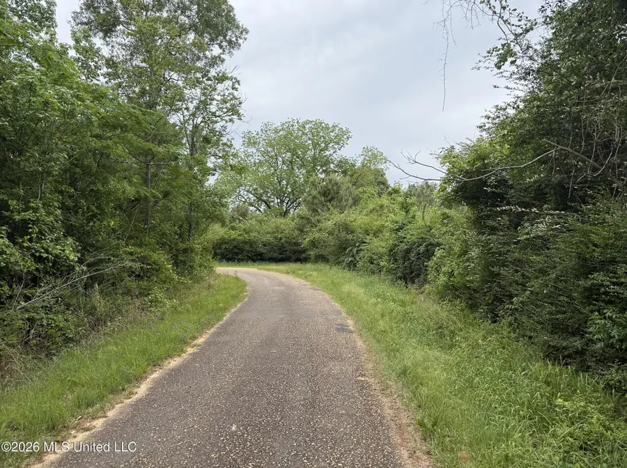 Grady Lane, Magnolia, MS 39652 - #2