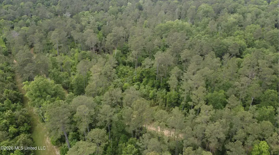 Grady Lane, Magnolia, MS 39652 - #3