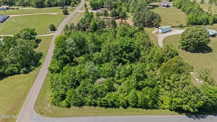 10566 Oak View Drive, Hernando, MS 38632 - #3