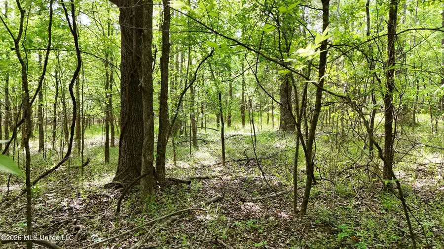 300 Beechwood Drive, Como, MS 38619 - #3