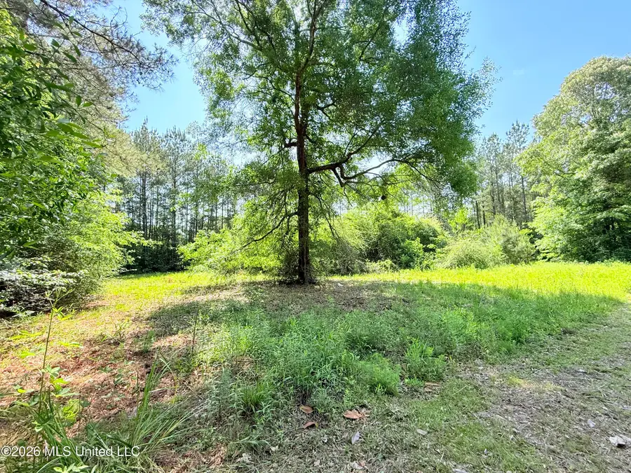 49 Page Drive, Moselle, MS 39459 - #2