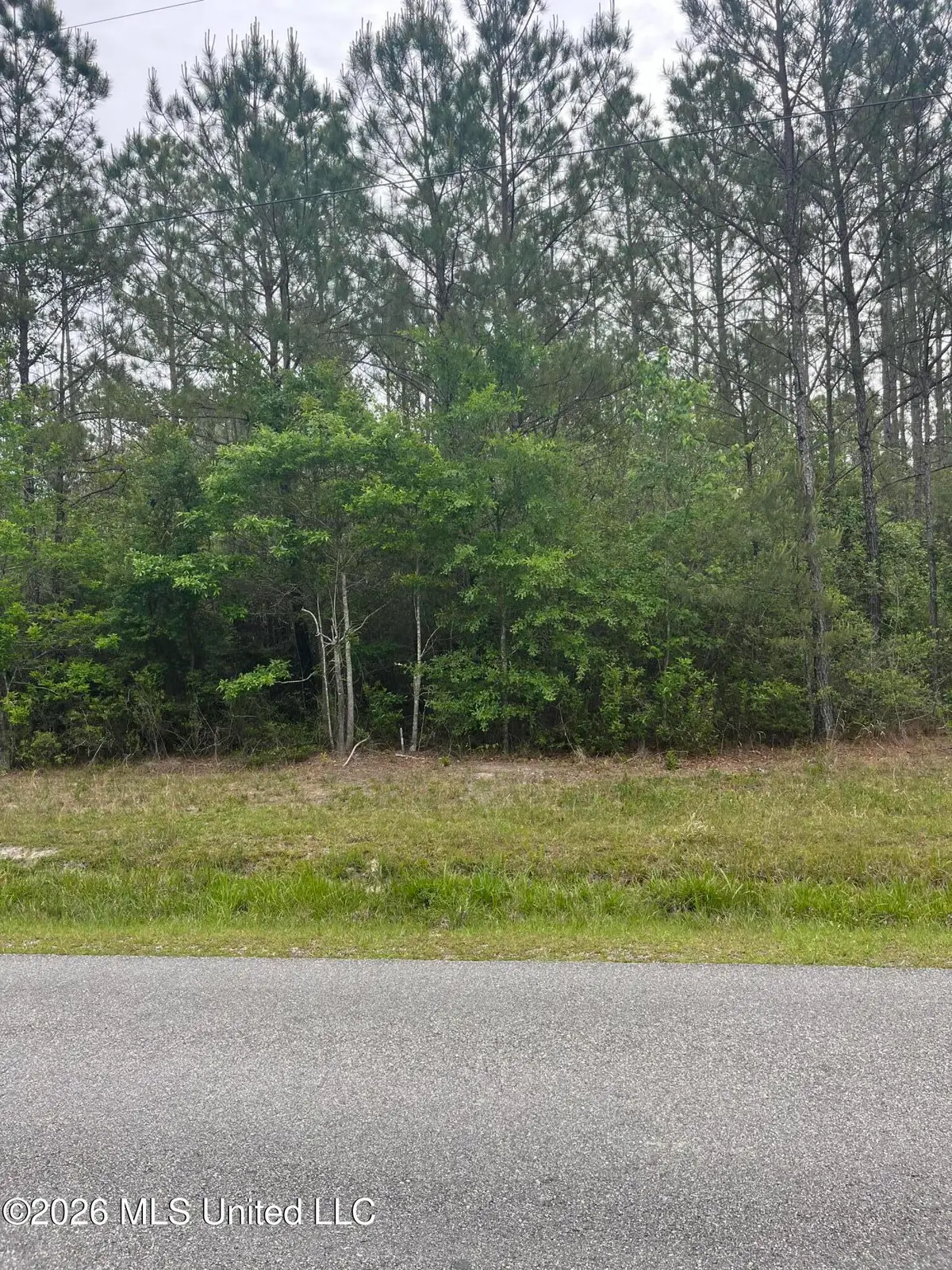 Lot 1 Leetown Road, Picayune, MS 39466 - #1