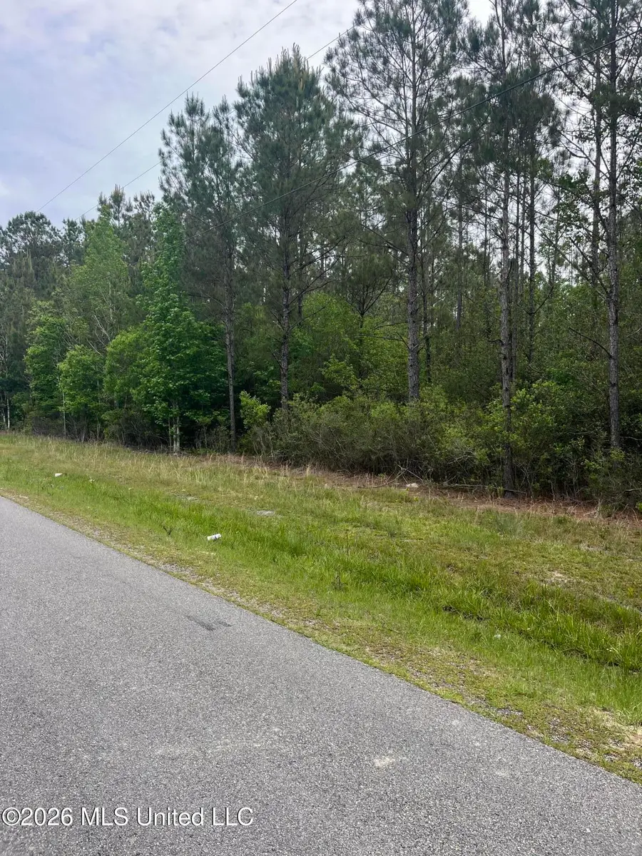 Lot 1 Leetown Road, Picayune, MS 39466 - #2