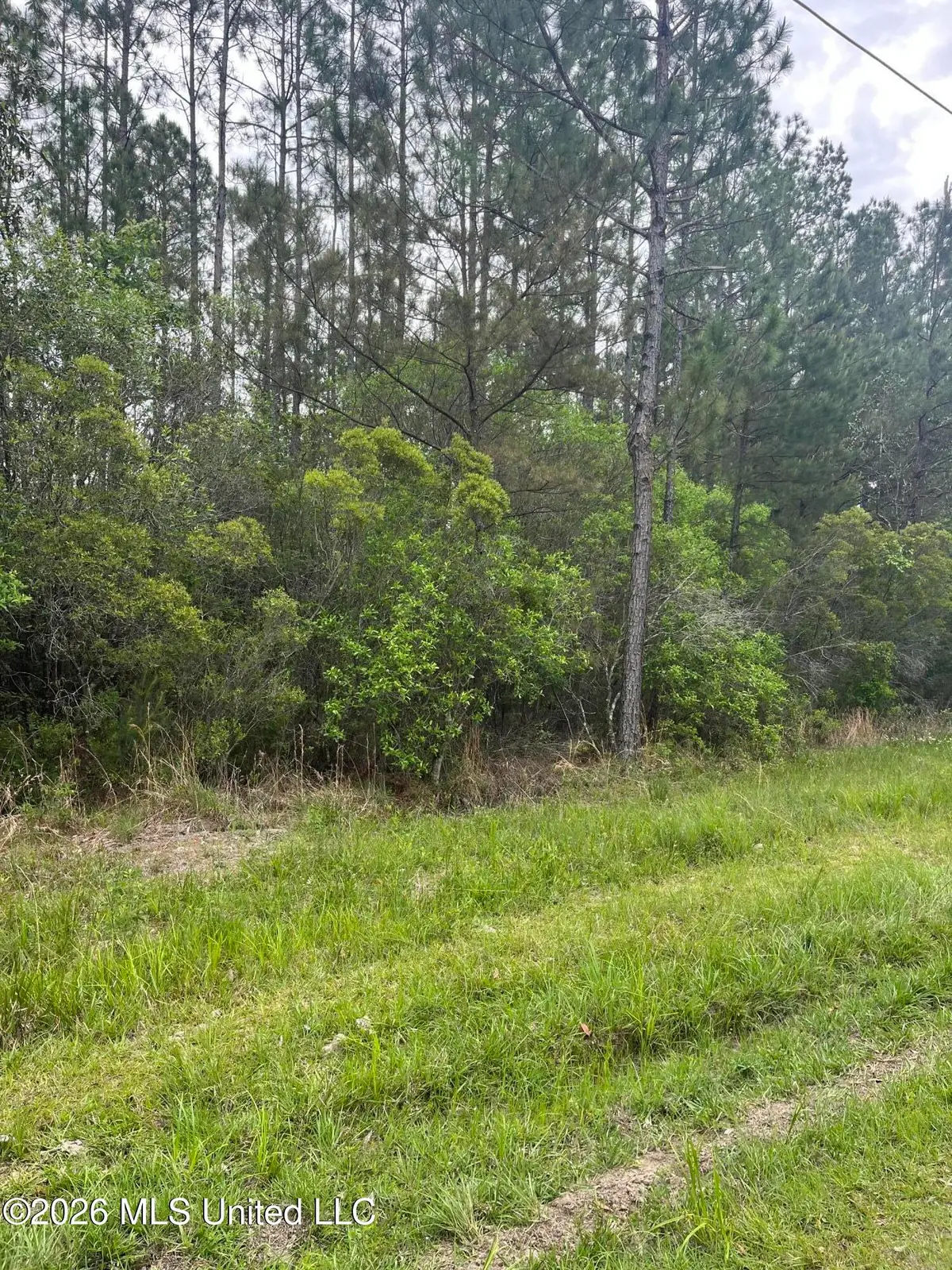 Lot 2 Leetown Road, Picayune, MS 39466 - #1