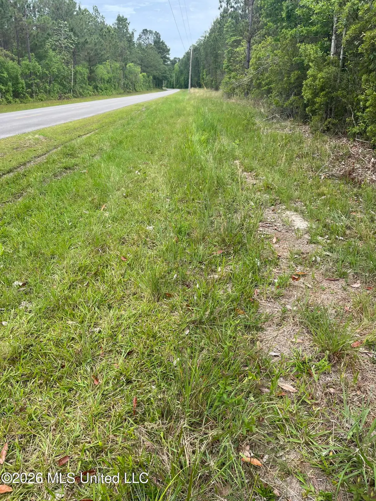 Lot 3 Leetown Road, Picayune, MS 39466 - #1