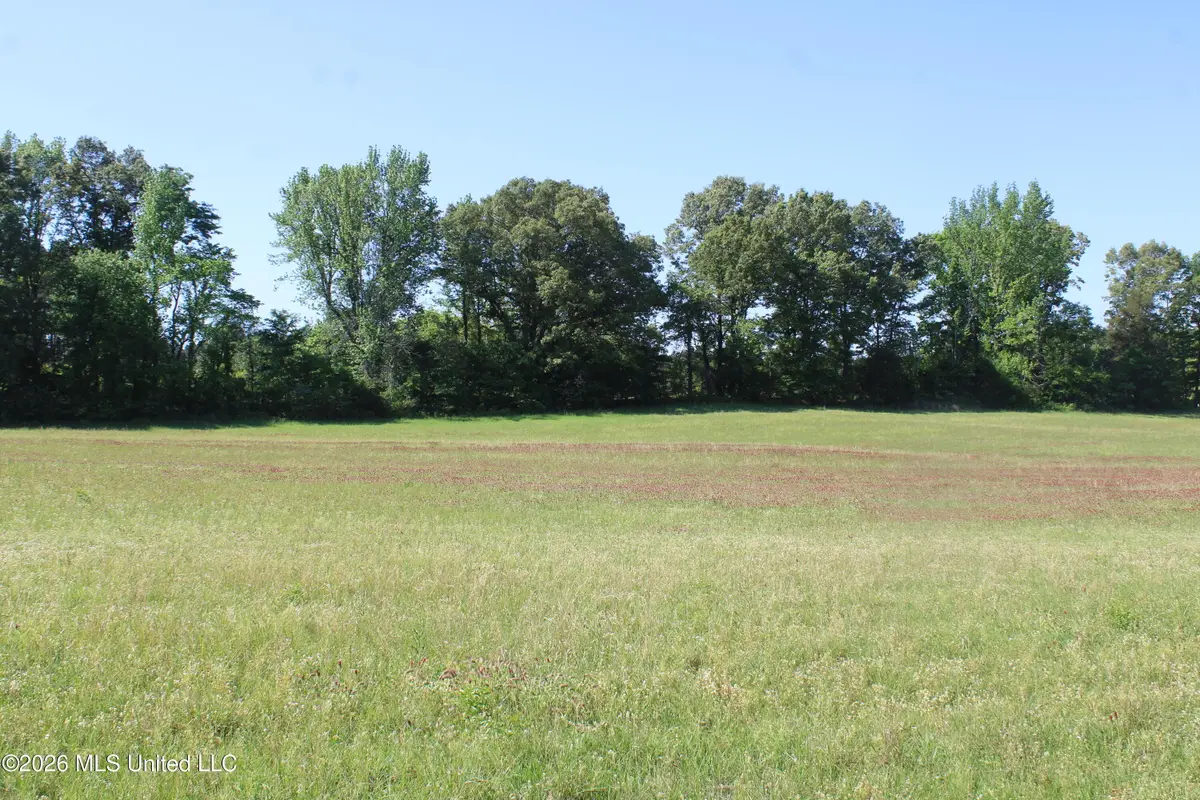 7300 Dean Road, Lake Cormorant, MS 38641 - #1