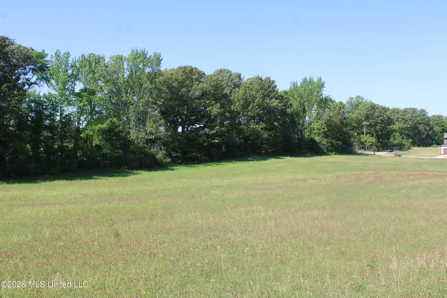 7300 Dean Road, Lake Cormorant, MS 38641 - #3