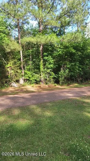 000 Smith Lane, Wesson, MS 39191 - #1