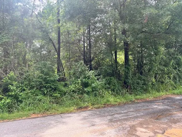 Cole Drive Se, Ruth, MS 39662 - #1