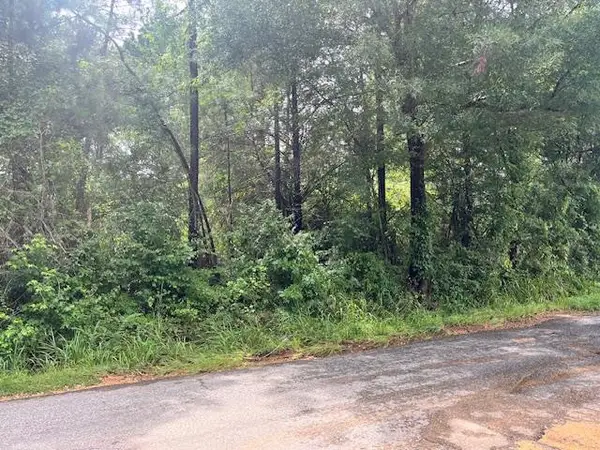 Cole Drive Se, Ruth, MS 39662