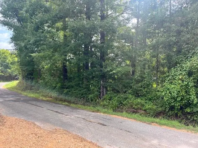 W Topisaw Road N, Ruth, MS 39662 - #1