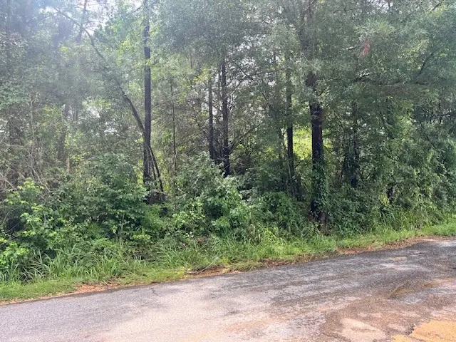 W Topisaw Road N, Ruth, MS 39662 - #2