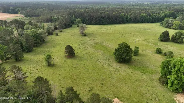 Sulphur Springs Road, Lot 7, Canton, MS 39046