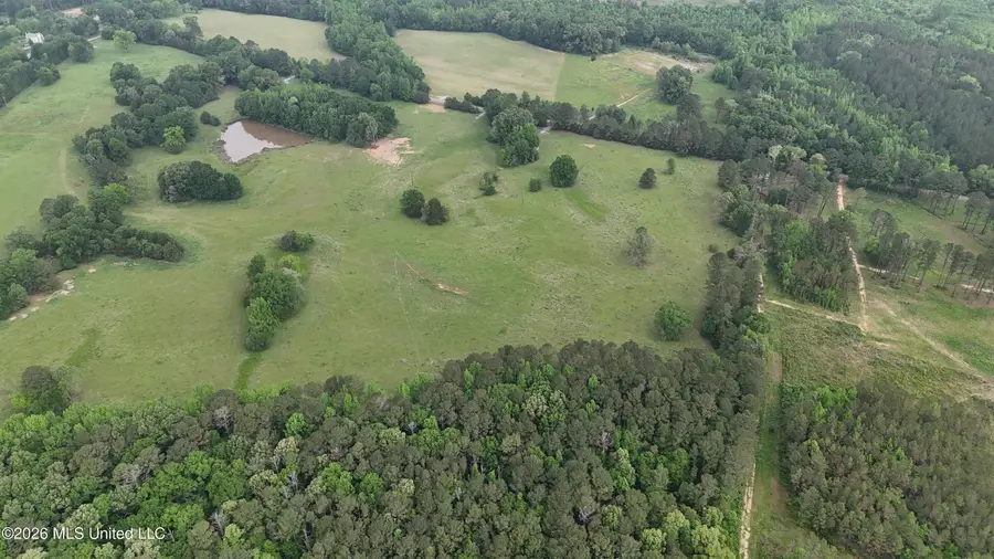 Sulphur Springs Road, Lot 7, Canton, MS 39046 - #2