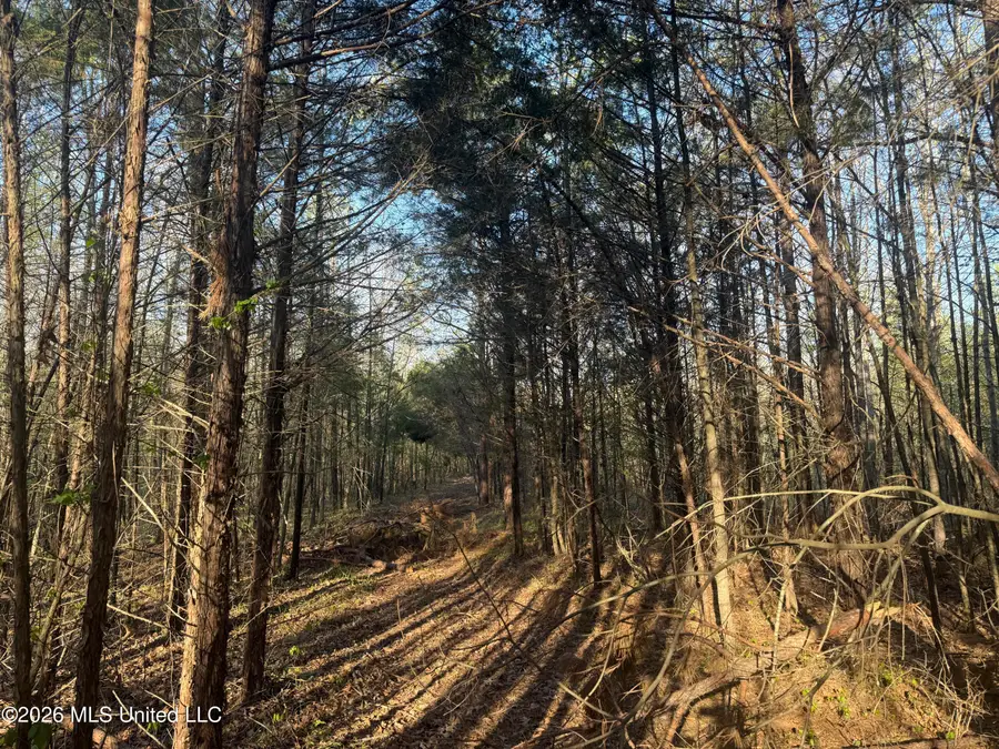 Robert Ford Road, Waterford, MS 38685 - #2