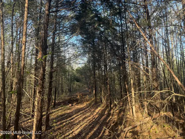 Robert Ford Road, Waterford, MS 38685