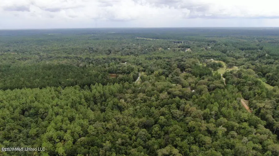 Busby Road, Vancleave, MS 39565 - #3