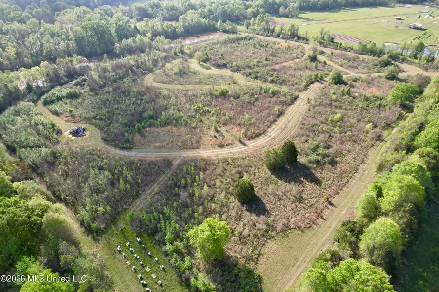 364 Yandell Road, Canton, MS 39046 - #3