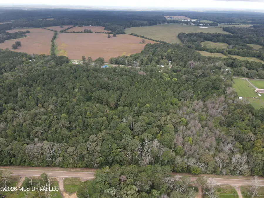 Ms-35, Forest, MS 39074 - #2