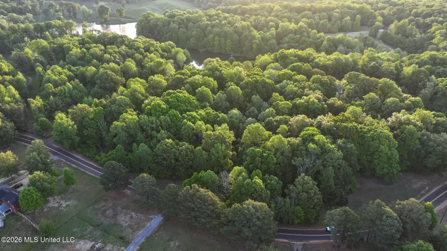 Tanyard Road, Hernando, MS 38632 - #3