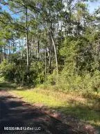 Beach Street, Ocean Springs, MS 39564 - #2