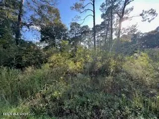 Persimmon Avenue, Ocean Springs, MS 39564 - #1