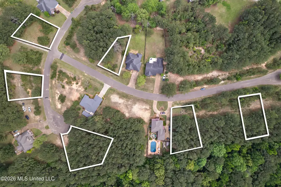 Eagle Cove, Carthage, MS 39051 - #2