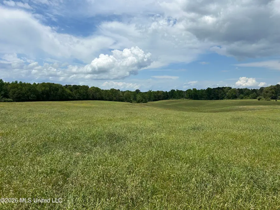 00 NW California Road, Brookhaven, MS 39601 - #2