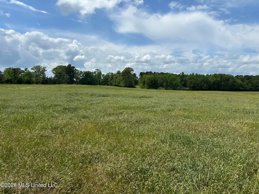00 NW California Road, Brookhaven, MS 39601 - #3