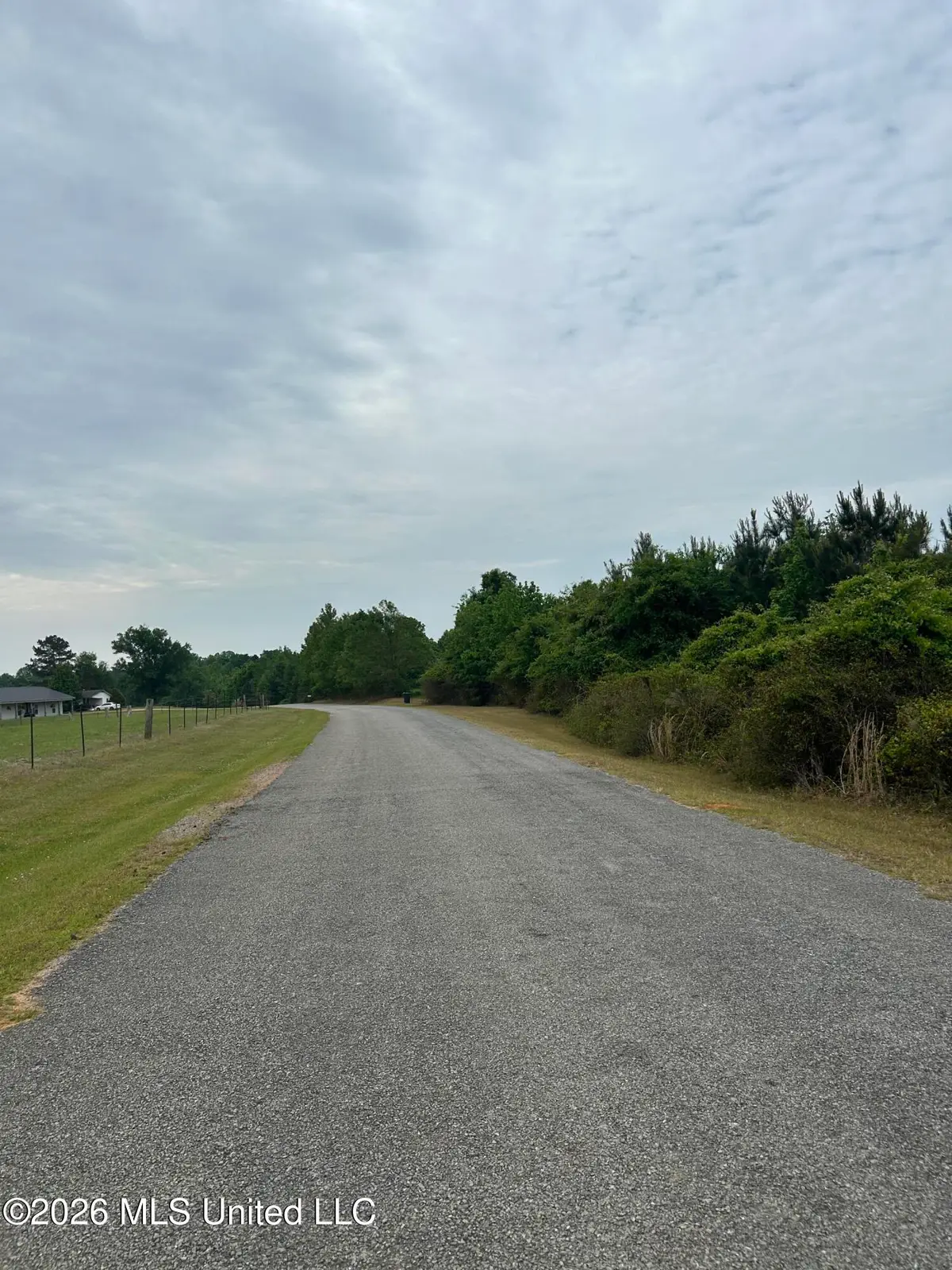 County Road 123, Philadelphia, MS 39350 - #1